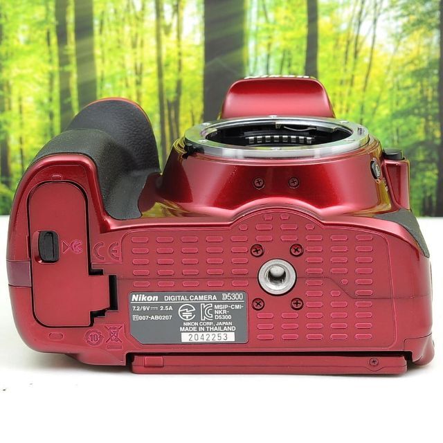 Nikon - Nikon D5300☆WiFi機能つき♪希少なレッドカラー☆3277の通販