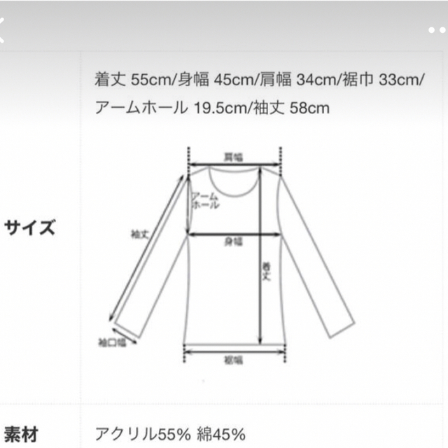 BASEMENT(ベースメント)のbasement online フリルスリーブニットトップス レディースのトップス(ニット/セーター)の商品写真