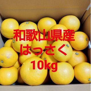 和歌山県産　八朔　はっさく　10kg(フルーツ)