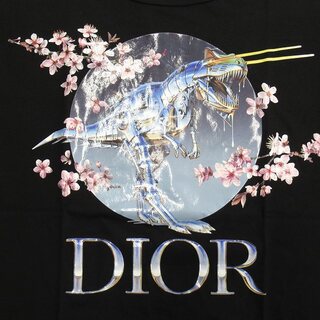 DIOR HOMME - 美品 19aw ディオールオム × 空山基 ロゴ ダイナソー T ...