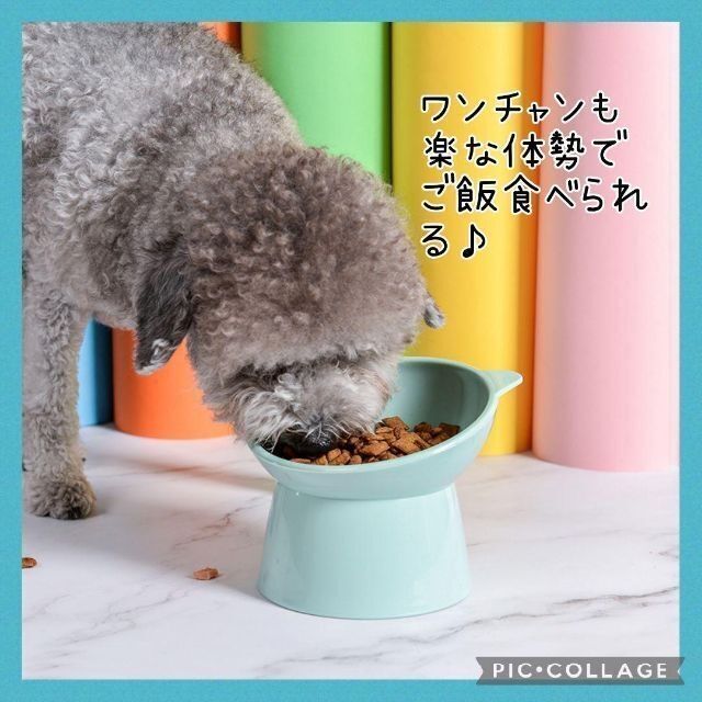 【ポポにゃん】ブルーフードボール ペットボール　ご飯　ペット用品　給食器　餌 その他のペット用品(犬)の商品写真