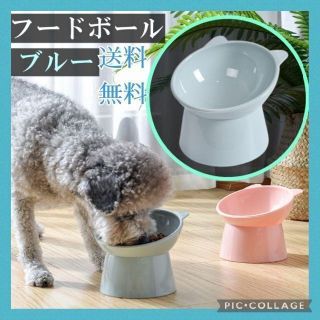 【ポポにゃん】ブルーフードボール ペットボール　ご飯　ペット用品　給食器　餌(犬)