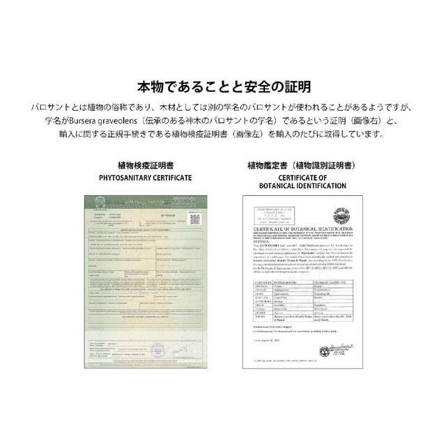 えつ様専用 バイオニックセラム➀ スキンケア/基礎化粧品 化粧水