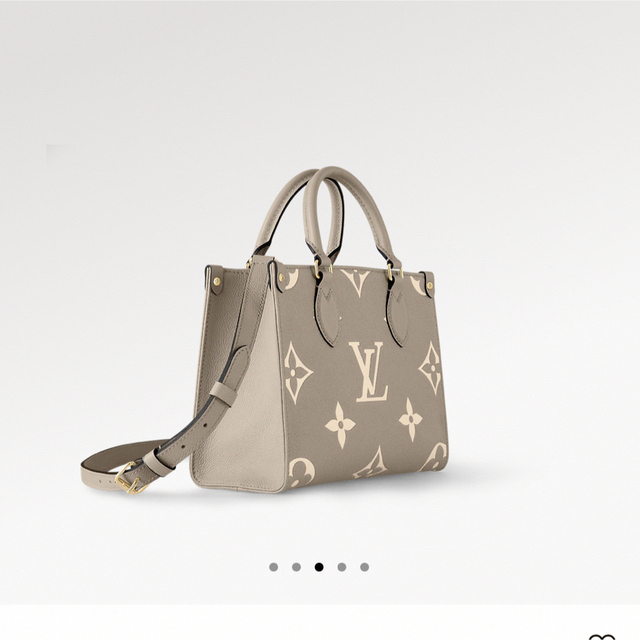 正規取扱店】 LOUIS VUITTON - LOUIS VUITTON ルイヴィトン オンザゴー