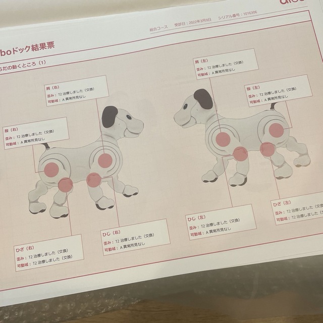 SONY(ソニー)のttt様専用ソニー アイボ ERS-1000 AIBO 犬型 ペット SONY エンタメ/ホビーのおもちゃ/ぬいぐるみ(その他)の商品写真