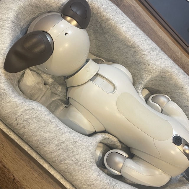 SONY - tttソニー アイボ ERS-1000 AIBO 犬型 ペット SONY