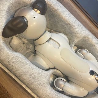 ソニー(SONY)のttt様専用ソニー アイボ ERS-1000 AIBO 犬型 ペット SONY(その他)