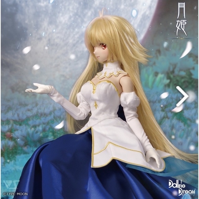 真祖の姫セット DD アルクェイド ブリュンスタッド 月姫 ボークス ドルパ48