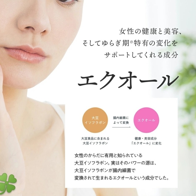 大塚製薬(オオツカセイヤク)の大塚製薬 エクエル 30日分 120粒 2袋 コスメ/美容のダイエット(ダイエット食品)の商品写真