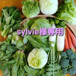 sylvie様専用ページです(野菜)