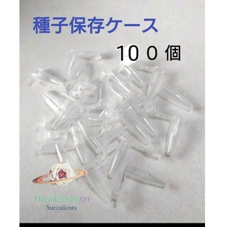 種子 花粉 保存容器 キャップ付き 100個 エケベリア リトープス(その他)