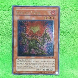 遊戯王 英語 シード・オブ・フレイム SEED OF FLAME レリーフ 美品(シングルカード)