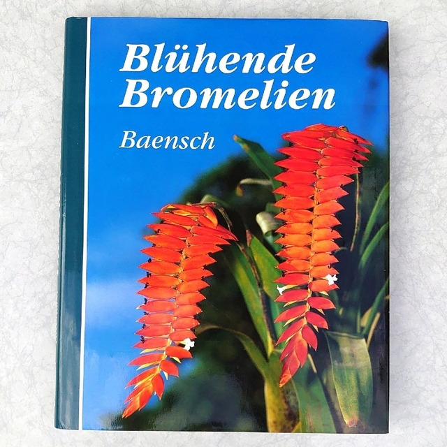 Blühende Bromelien パイナップル科 珍奇植物 図鑑 専門書 エンタメ/ホビーの本(洋書)の商品写真