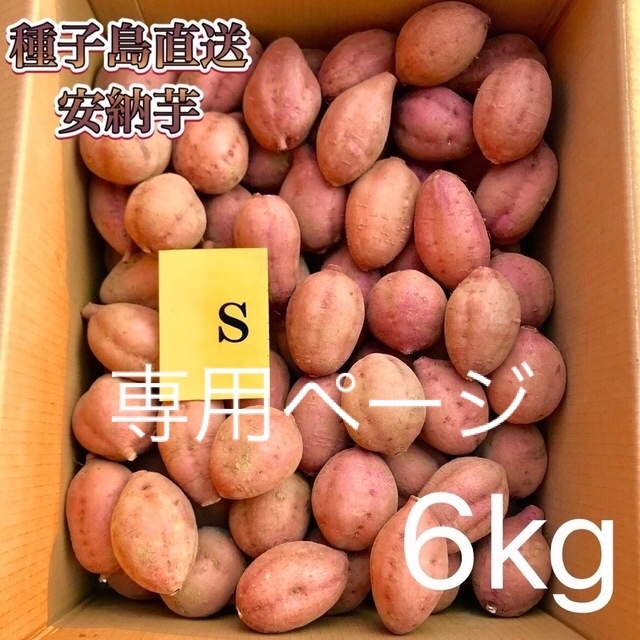 ※wsメイ様専用ページ　【絶品】種子島産  安納芋S 6kg(箱別) 食品/飲料/酒の食品(野菜)の商品写真