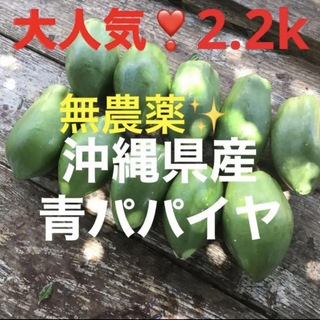 大人気❣️無農薬栽培✨沖縄産青パパイヤ✨2.2k分✅(野菜)
