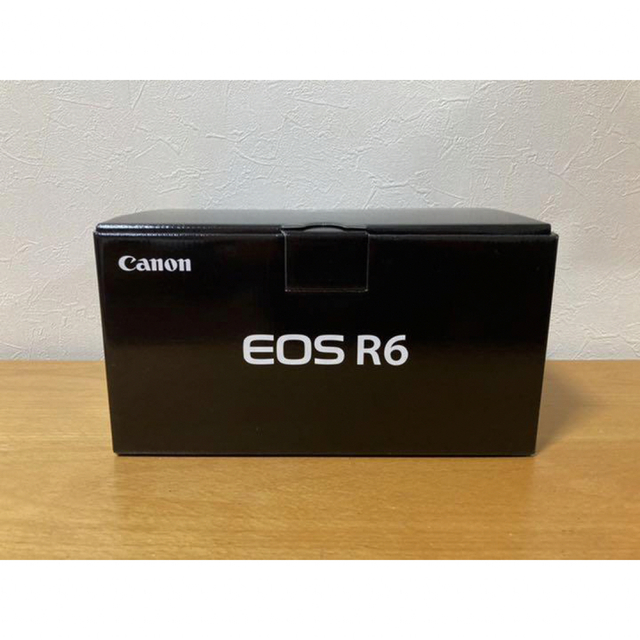 CANON EOS R6 ボディ バッテリー2個デジタル一眼