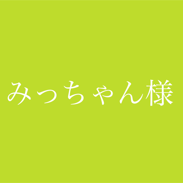 ギフ_包装】 みっちゃんページ その他 みっちゃん様専用ページ