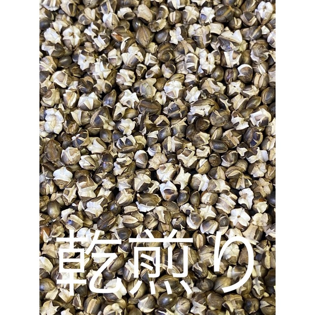 ダイシモチ玄麦900g 食品/飲料/酒の食品(米/穀物)の商品写真