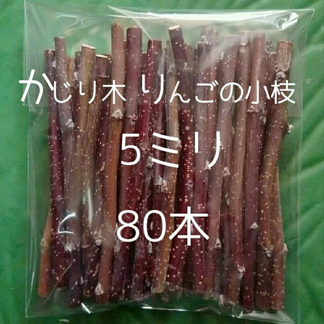 かじり木りんごの細枝80本 - 通販 - byatour.com