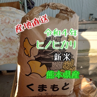 令和4年　ヒノヒカリ　新米　5kg 熊本県産(米/穀物)
