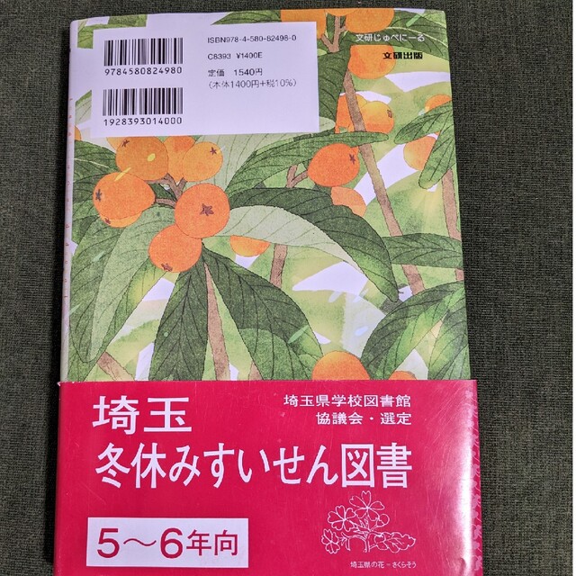 専用開設　びわ色のドッジボール　推薦図書　文研じゅべにーる エンタメ/ホビーの本(絵本/児童書)の商品写真