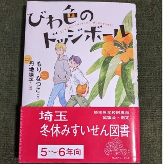 専用開設　びわ色のドッジボール　推薦図書　文研じゅべにーる(絵本/児童書)