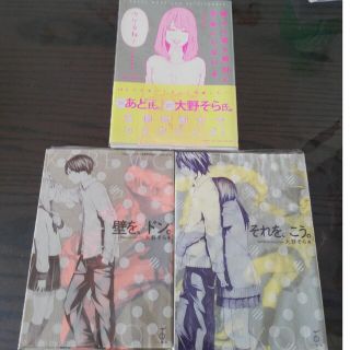 【定価3000円以上】大野そら☆３冊セット(その他)