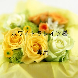 ホワイトクレイン様専用　お米　令和4年　愛媛県産ヒノヒカリ　玄米　30㎏(米/穀物)