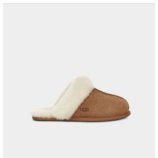 アグ(UGG)のUGG スリッパ レディース スカフェット II(スリッパ/ルームシューズ)