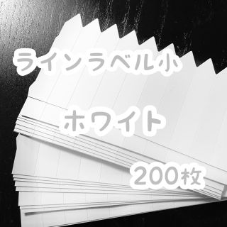 ラインラベル 小 白200枚園芸カラーラベル 多肉植物 エケベリア(プランター)