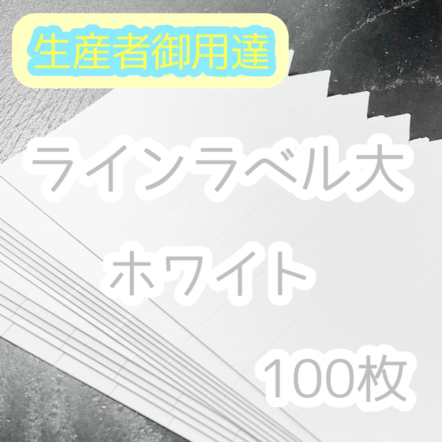 ◎ 100枚 ◎ 白(大) ラインラベル 園芸ラベル カラーラベル ハンドメイドのフラワー/ガーデン(その他)の商品写真