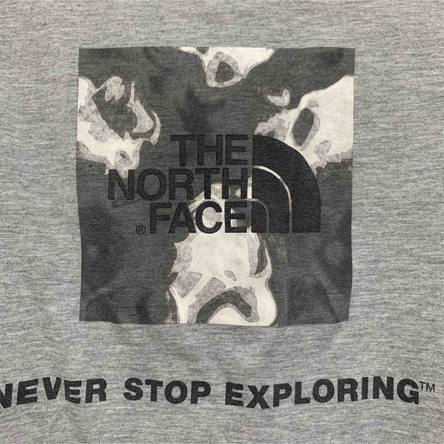 THE NORTH FACE(ザノースフェイス)のノースフェイス　Tシャツ　L THE NORTH FACE メンズのトップス(シャツ)の商品写真