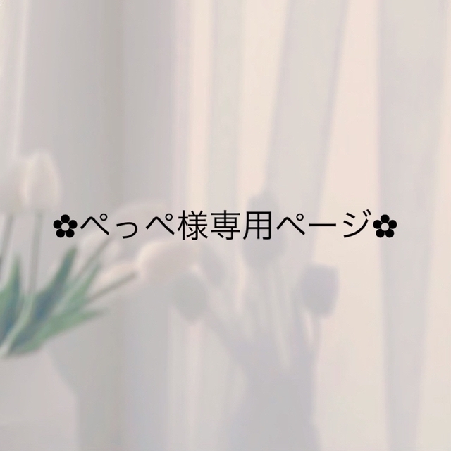お客様専用ページ cnsrosario.com.br