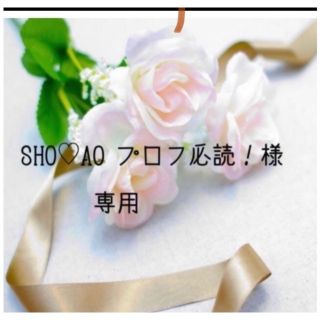 SHO♡AO様専用　お米　令和4年　愛媛県産コシヒカリ　白米　10㎏(米/穀物)