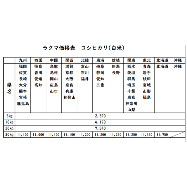 お米　令和4年　愛媛県産コシヒカリ　白米　20㎏食品