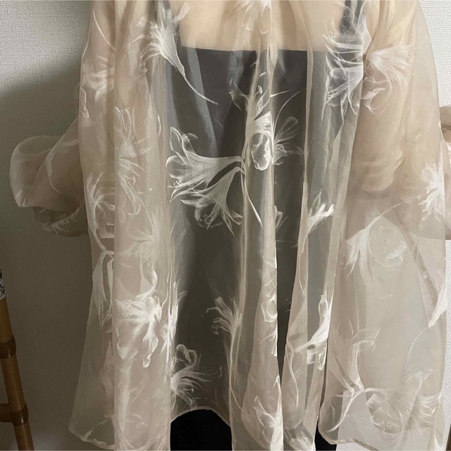 Acka sheer over flare blouse | tigerwingz.com