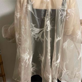 ふじみ野市立てこもり acka sheer over flare blouse トップス