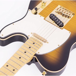 フェンダー(Fender)のフジゲン テレキャスター【イケベ•カスタムオーダー】リッチー•コッツェン　美品(エレキギター)