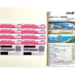 エーエヌエー(ゼンニッポンクウユ)(ANA(全日本空輸))のANA 株主優待優待券　ANA グループ優待券(その他)