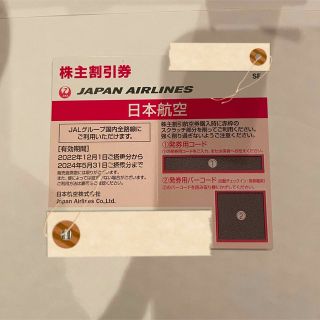 JAL 株主割引券　1枚(その他)