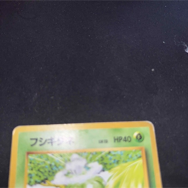ポケモンカード 旧裏 フシギダネ マークなし ポケモンカード 旧裏 フシギダネ マークなし