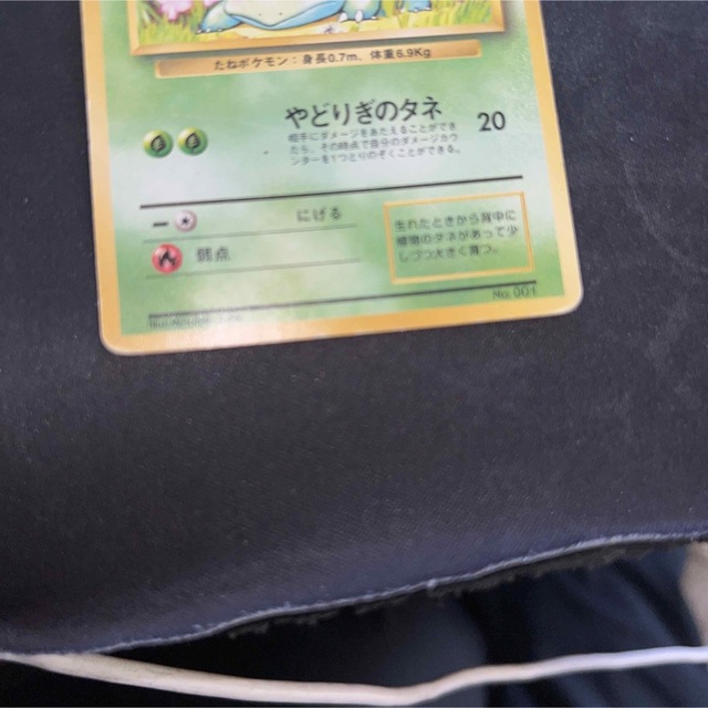 ポケモンカード 旧裏 フシギダネ マークなし ポケモンカード 旧裏 フシギダネ マークなし