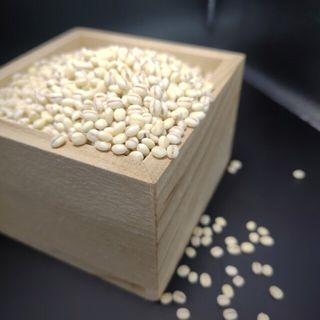 岡山西大寺幸せもち麦(キラリモチ)2kg(1kg×2)(米/穀物)