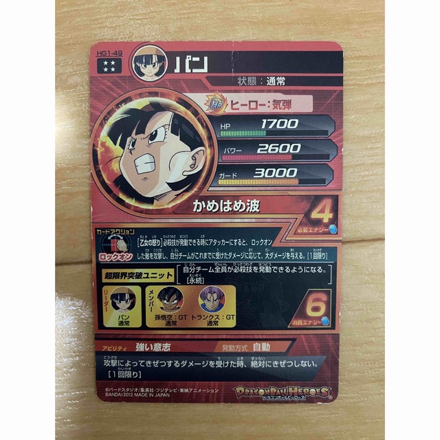 HG1 049P パン