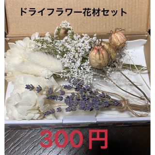 ドライフラワー花材セット(ドライフラワー)