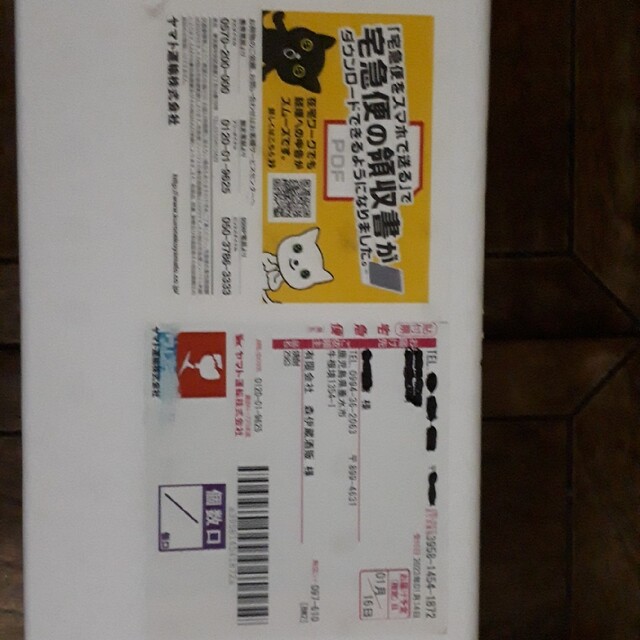 激安直営店 森伊蔵1800 3本 焼酎 - cbrr.org.br