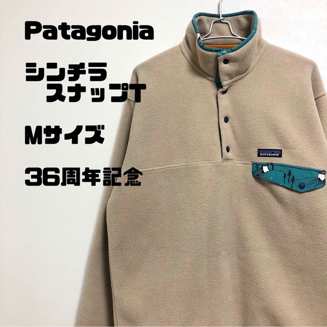 Patagonia  シンチラ スナップT フリース Mサイズ