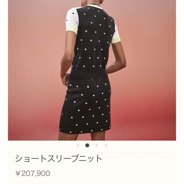 エルメス ショートスリーブニット 全新未使用 代引き手数料無料 40180