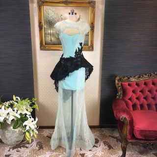 タダシショウジ(TADASHI SHOJI)の総レーステザインナーロングドレス演奏会ステージ誕生パティーキャバ嬢ナイトクラブ(ロングドレス)