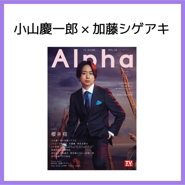 激安直営店TV GUIDE Alpha Vol.42 アート